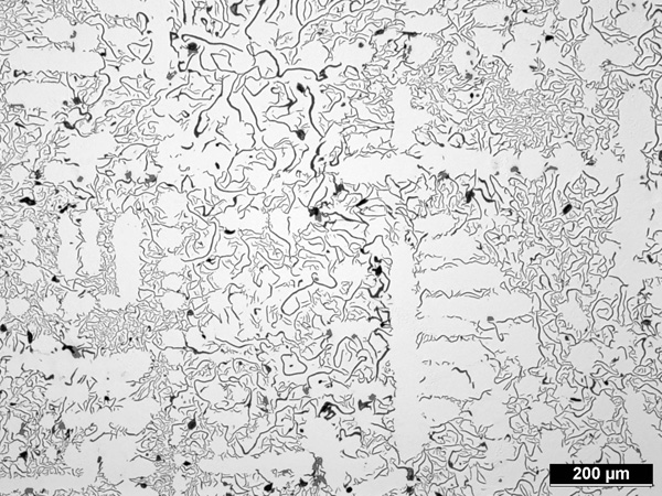 Graphitklassifizierung durch visuelle Auswertung Metallographie