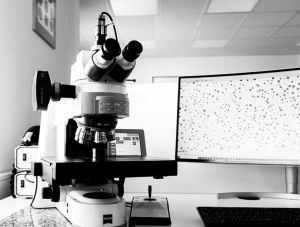 DIN EN ISO 945-1: Mikrografische Bestimmung des Graphitstruktur in Gusseisen - Graphitklassifizierung mittels visueller Untersuchung Gusseisen Gefügeanalyse in SPC Labor